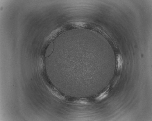 X0000080690412200612221057