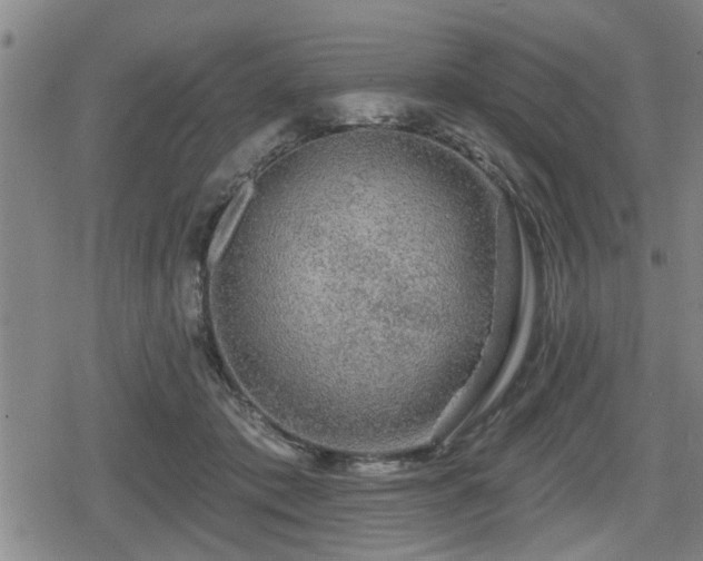 X0000080690413200612221057