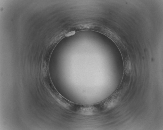 X0000080690414200612221057