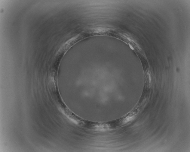 X0000080690415200612221057