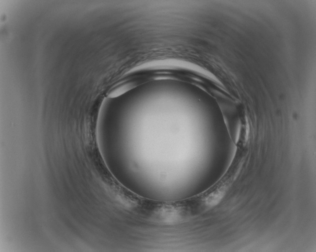 X0000080690416200612221057