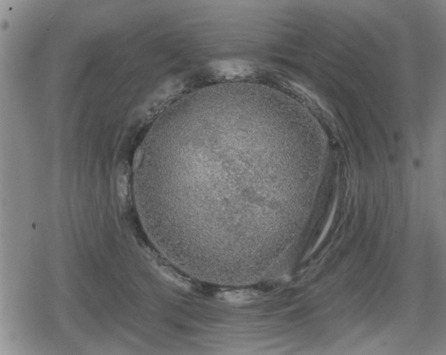 X0000080690417200612221057