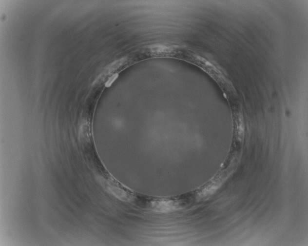 X0000080690419200612221057