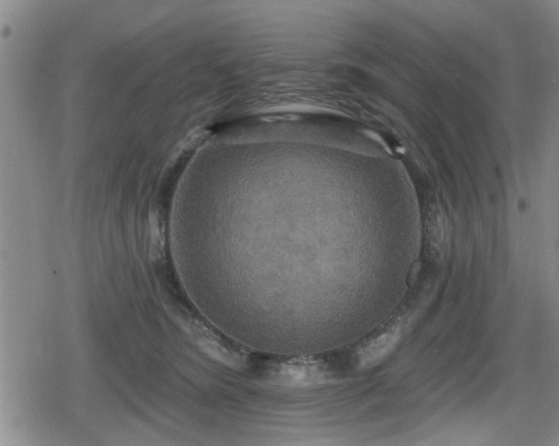 X0000080690420200612221057