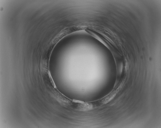 X0000080690421200612221057