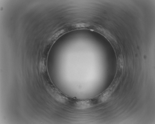 X0000080690422200612221057