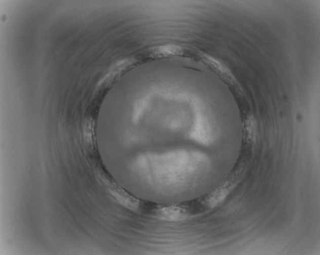 X0000080690423200612221057