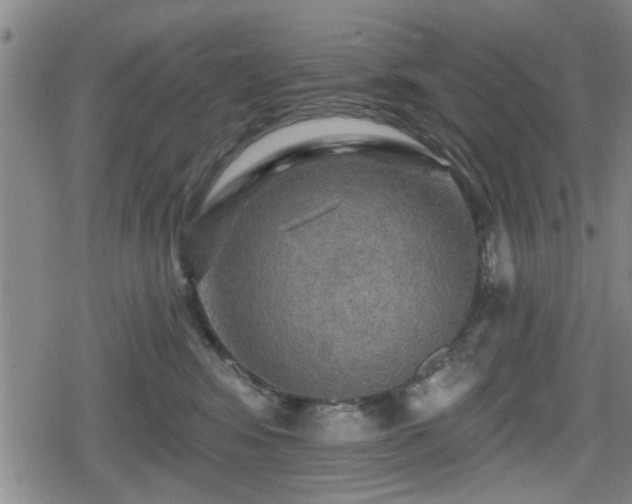 X0000080690424200612221057