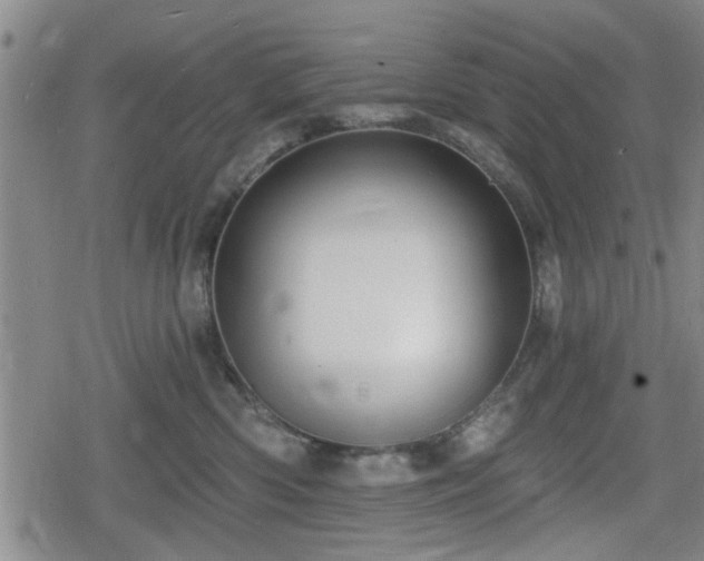 X0000080690426200612221057