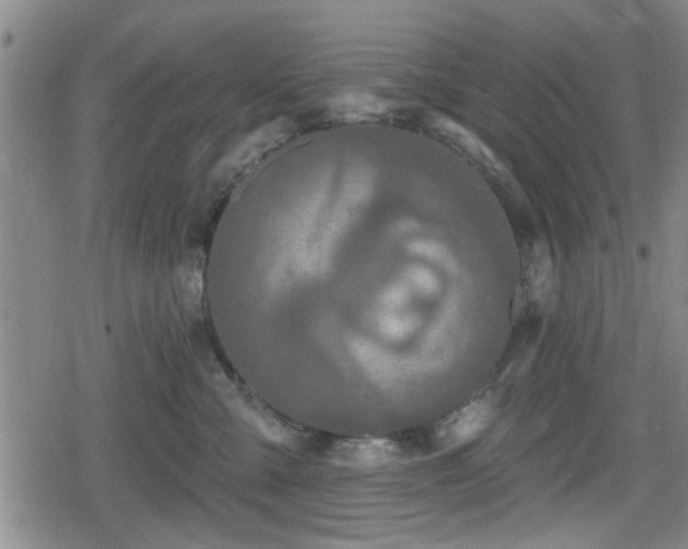 X0000080690427200612221057