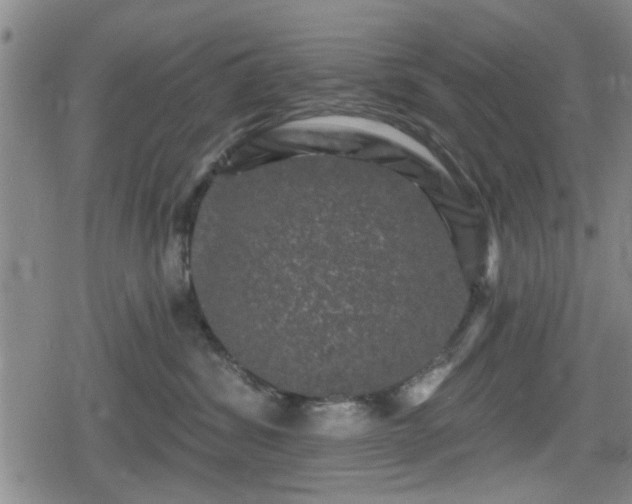 X0000080690428200612221057