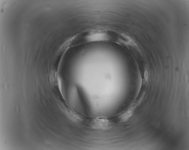 X0000080690429200612221057