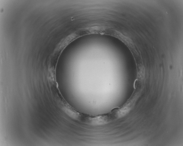 X0000080690430200612221057