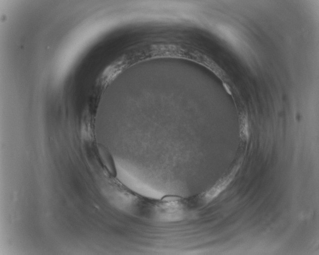 X0000080690431200612221057