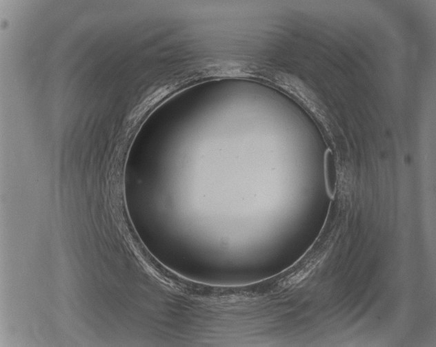 X0000080690433200612221056