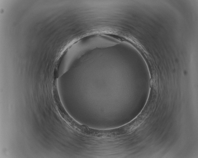 X0000080690434200612221056