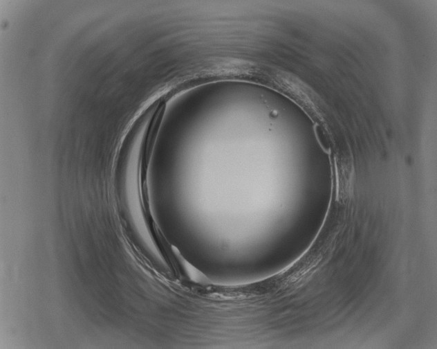 X0000080690435200612221056