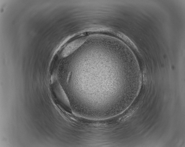 X0000080690436200612221056