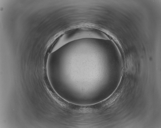 X0000080690437200612221056