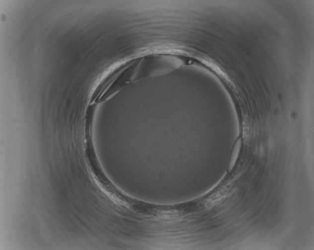 X0000080690438200612221056