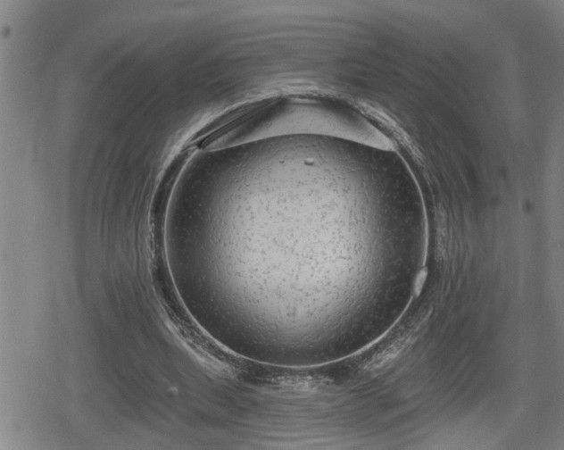 X0000080690439200612221056