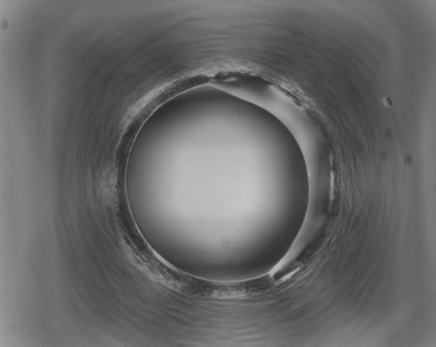 X0000080690440200612221056