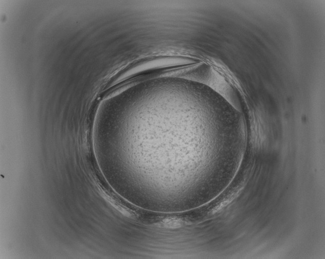 X0000080690441200612221056