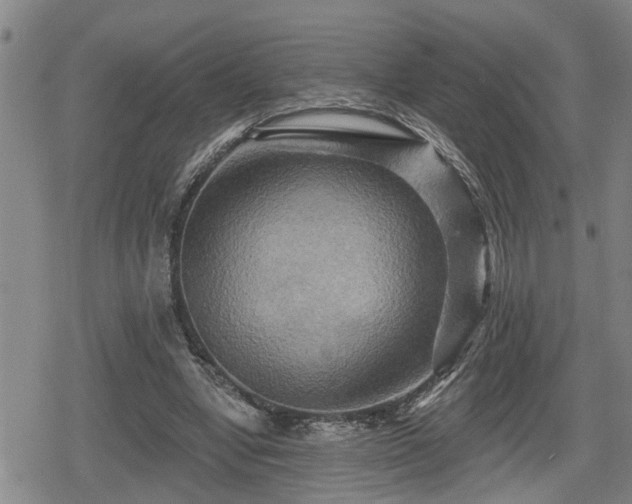 X0000080690442200612221056