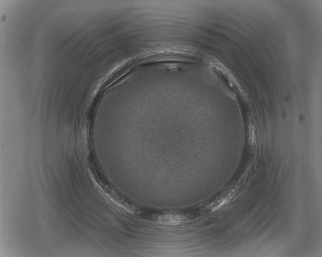 X0000080690444200612221056