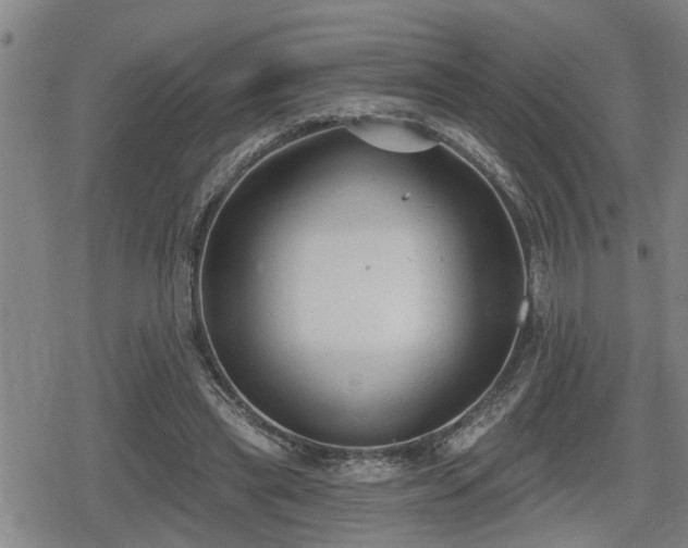 X0000080690445200612221057