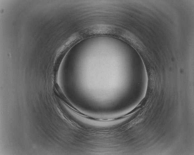 X0000080690446200612221057