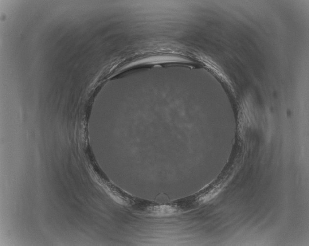 X0000080690449200612221057