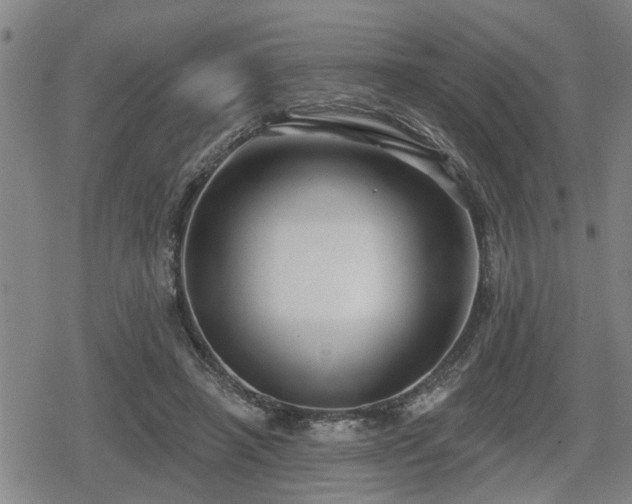 X0000080690450200612221057