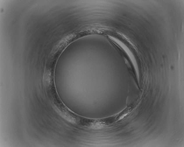 X0000080690451200612221057