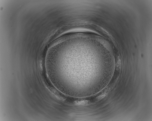 X0000080690452200612221057