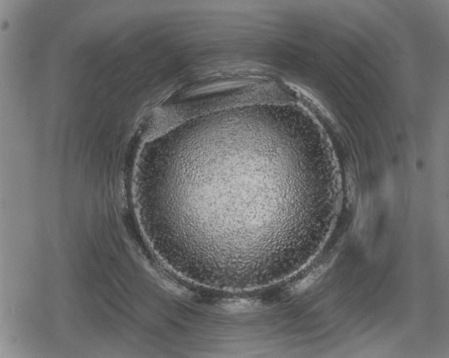 X0000080690453200612221057