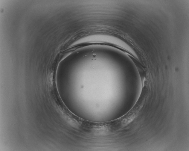 X0000080690454200612221057