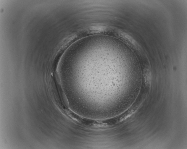 X0000080690455200612221057