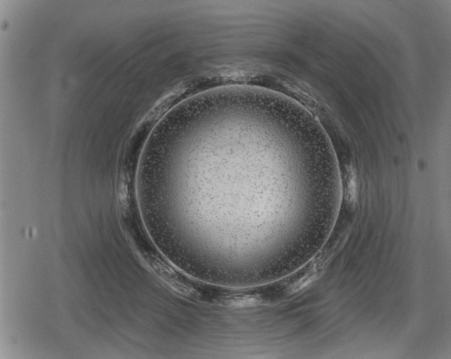 X0000080690456200612221057