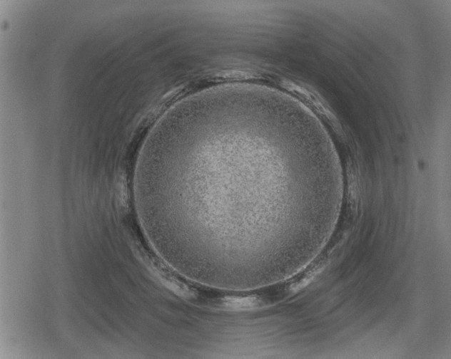 X0000080690457200612221057