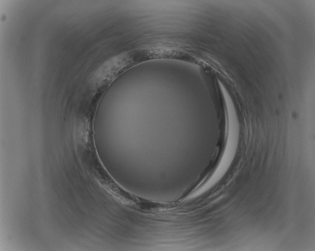 X0000080690458200612221057