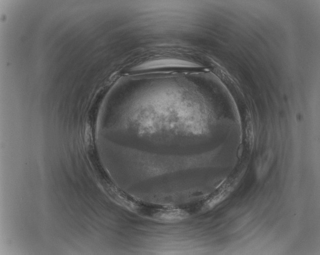 X0000080690459200612221057