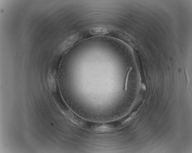 X0000080690460200612221057