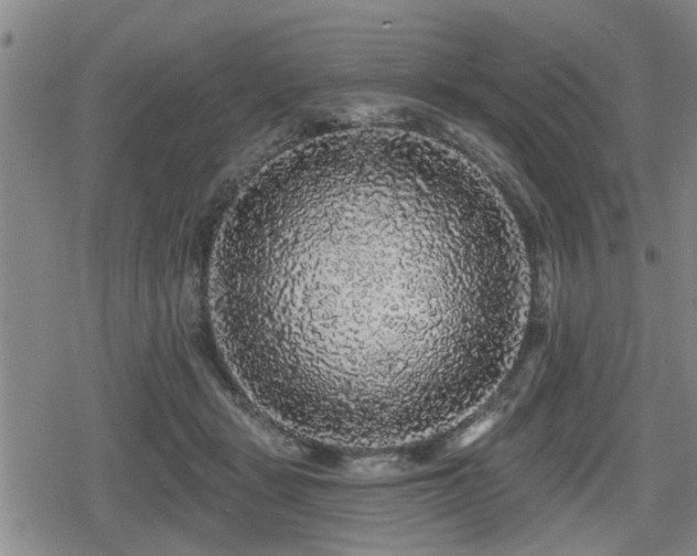 X0000080690461200612221057