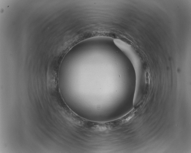 X0000080690464200612221057