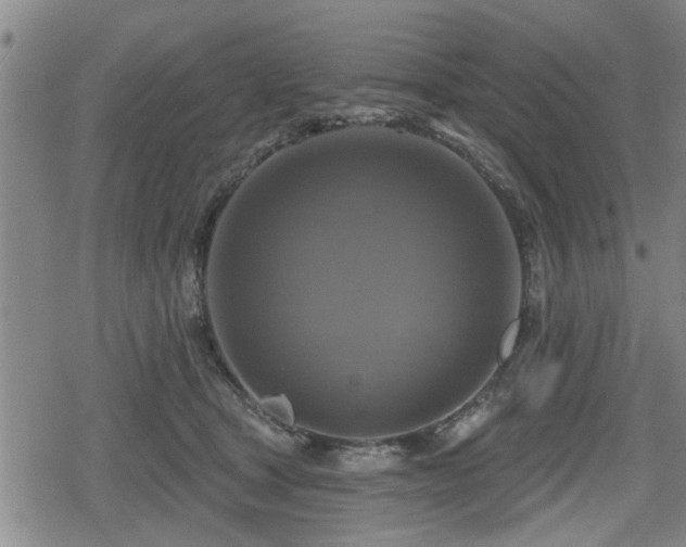 X0000080690465200612221057