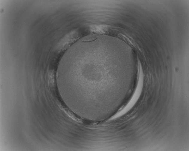 X0000080690466200612221057