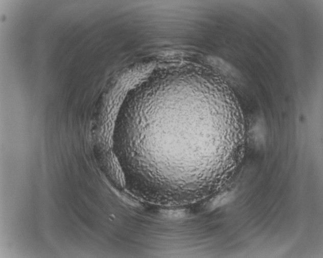 X0000080690469200612221057