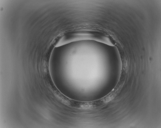 X0000080690470200612221057