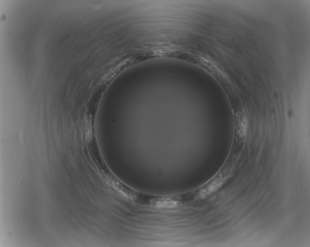 X0000080690471200612221057